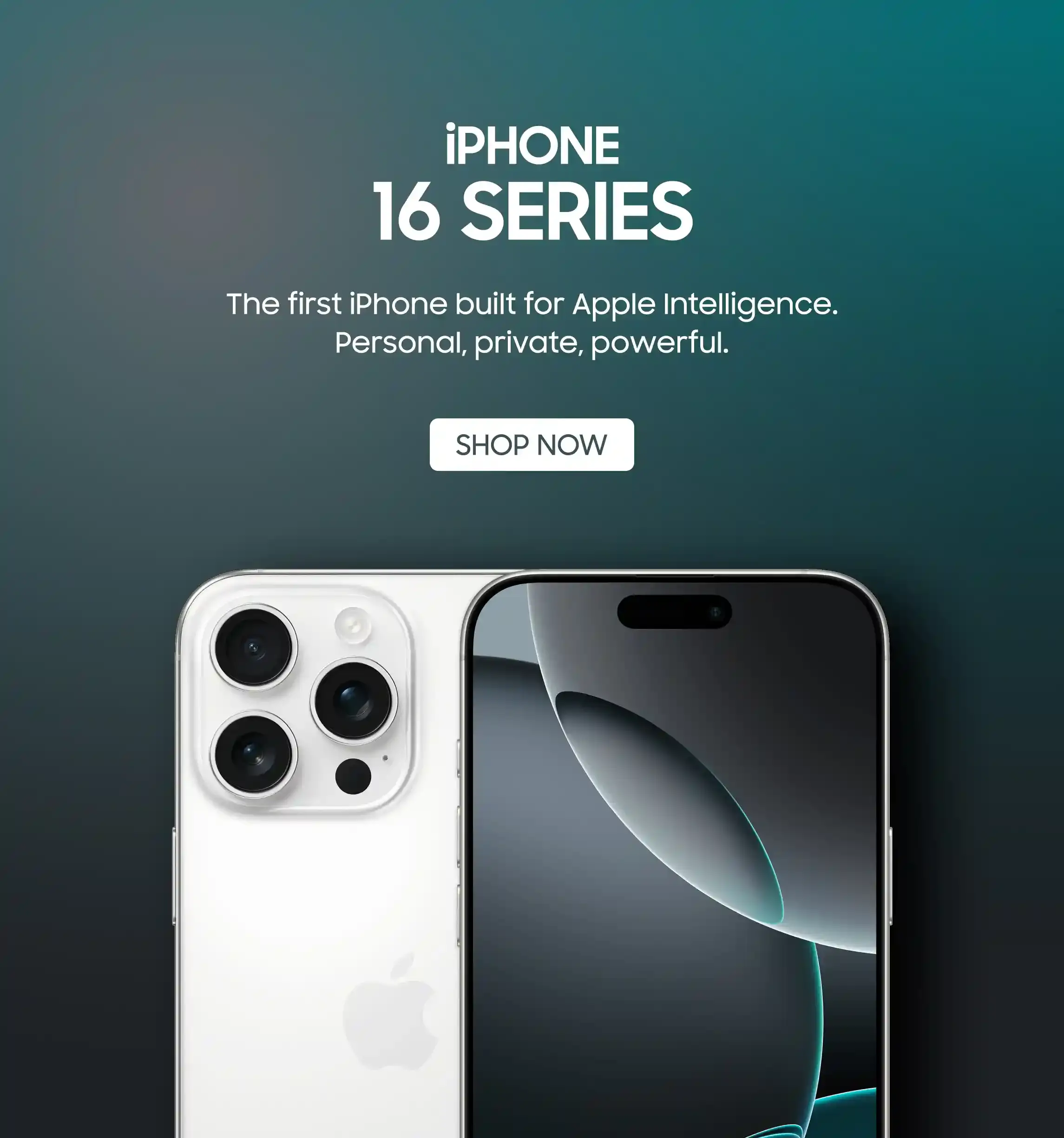 Homepage middle 1